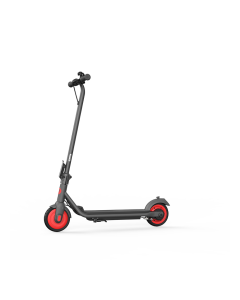 Ninebot eKickScooter ZING C20